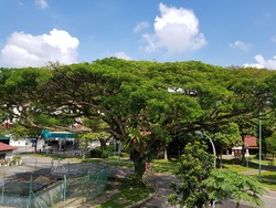 Sembawang Hills Estate (D20), Terrace #170191642
